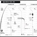 돌돔 원투채비(펌) 이미지