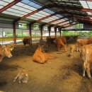 거기한우 이미지