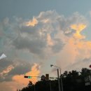 임성농장 이미지