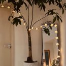 바바호미 이미지