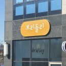 주인아 미용하고가 | 화성 남양 애견미용 비숑미용전문 브리들리 (구 본오동 마이아지) 내돈내산 솔직후기