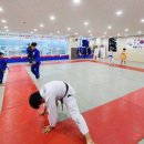 용인대 현풍 유도&주짓수 이미지