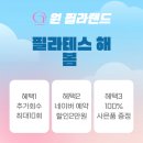 필라랜드 네이버블로그