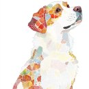 CHUBBY DOG 이미지