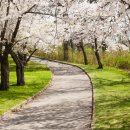 꽃보다의료기 이미지