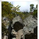 상대농장 이미지