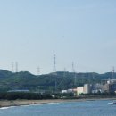 카페개동백