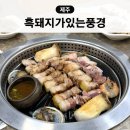 흑돼지가있는풍경 | 제주 흑돼지가 있는 풍경 가격 제주시 흑돼지 맛집