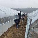 초전면사무소 이미지