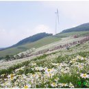 하늘원 화장실 이미지