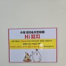 하이;돼지 | 부산 사직야구장 근처 수제피자치킨 무한리필 하이피치 사직 솔직후기