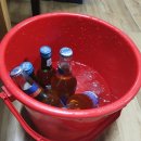 정량안길 | 통영 현지인이 추천 해준 맛집 혜성 반 다찌