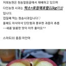 다인농원