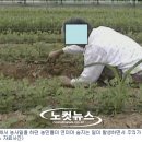 박종관농장 이미지