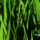 고려동유적지 이미지