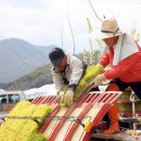 모서면 삼포리~도안리 이미지