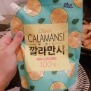 팬션 패트로누스 이미지
