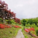 산수랜드 | 아산 가볼만한곳 피나클랜드 수목원 튤립 봄꽃축제 꽃구경 불꽃놀이