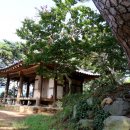 담양오방길5코스(누정길) 이미지