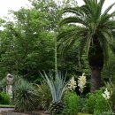 국립산림과학원 난대아열대산림연구소 이미지