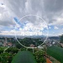 화원하나로카클리닉 | 달랏 죽림사원 + 케이블카 코스 (힐링 여행 제대로 느낀 후기)