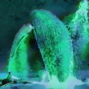 앤섬미술학원 이미지