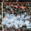 초특가전 이미지