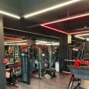 울프피트니스 이미지