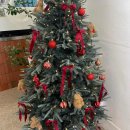 풍년슈퍼과일 이미지