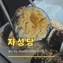 (구)옥동초 | 울산 옥동 계란김밥이 맛있는 분식집 자성당