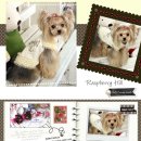 라즈베리힐 이미지