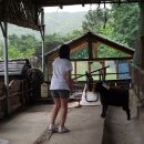 하은이네 농장 이미지