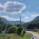 상주중앙시장 이미지