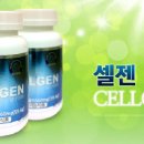 셀젠 이미지