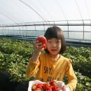 킹스베리 이미지