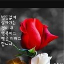 오늘;더좋은날