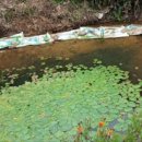 월산농장 이미지