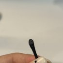 화수육계 이미지