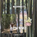 대통3길 | 불사조여행단 3기 후기 담양 1박 2일 국내 소도시 여행지 추천