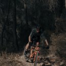 타이어랩 이미지