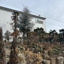 아르세 | [경남,통영] 오션뷰 대형카페 아르세 후기 | 반려견 동반 가능, 정원까지 완벽했던 카페