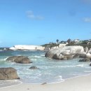 케이프타운 이미지