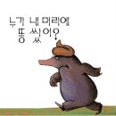 어유정미소 | 속초 여행 | 바다 보고 싶어서 갑자기 훌쩍 떠나버리기