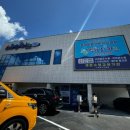 스위밍키즈 아카데미 이미지