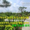 홍성 (토지:가격내림)저수지초인접 귀한토지/ 전원주택지,5도2촌,캠핑,농막지/ 전225평 8,500만원 이미지