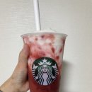 세븐일레븐대전탄방카페점 이미지