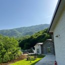 나비뜨란 펜션 이미지