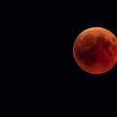 해두리치킨 장기점 이미지