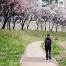 살구꽃가든 이미지