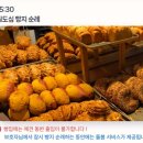 대전펫츠 이미지